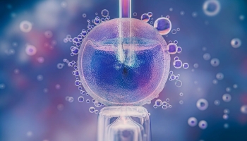 Криоконсервация яйцеклеток: современный подход к сохранению фертильности