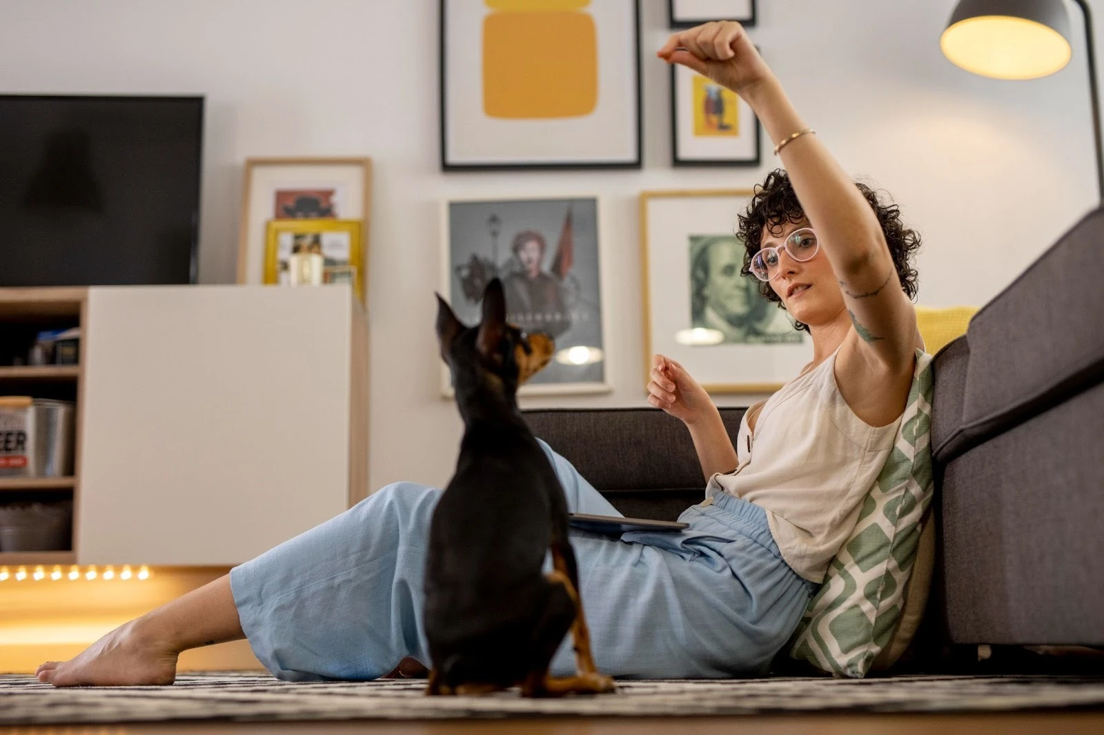 Оренда з домашніми тваринами в Києві: що треба знати орендарю