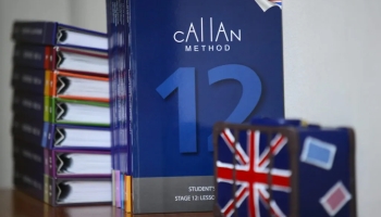 Изучение английського по методу CALLAN - что важно знать?