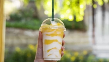 Пластиковые стаканы оптом — практичное решение для бизнеса и мероприятий