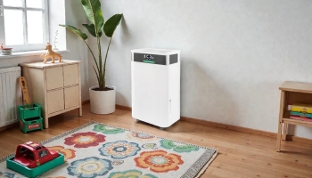 Сухе повітря без компромісів: як обрати електричний осушувач для дому