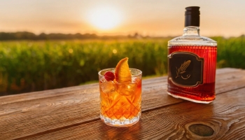 Сравнение различных видов виски для новичка: с чего начать