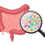 Як вікові зміни впливають на мікрофлору та травлення