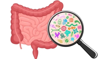 Як вікові зміни впливають на мікрофлору та травлення