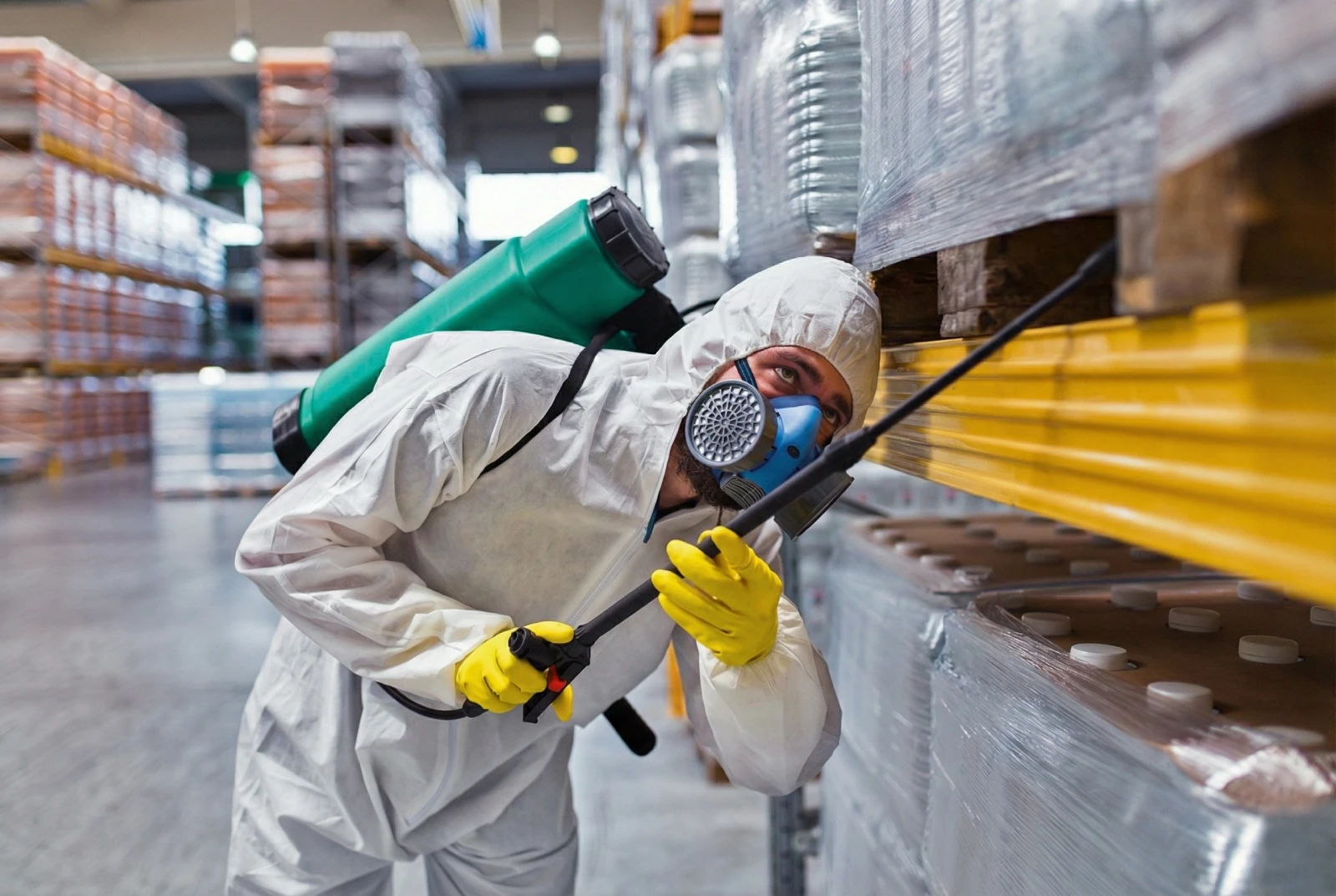 Что такое пест-контроль для предприятий и как часто необходимо его проходить