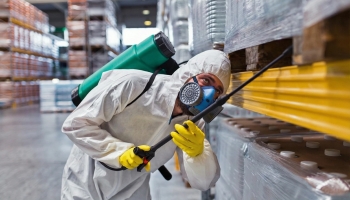 Что такое пест-контроль для предприятий и как часто необходимо его проходить