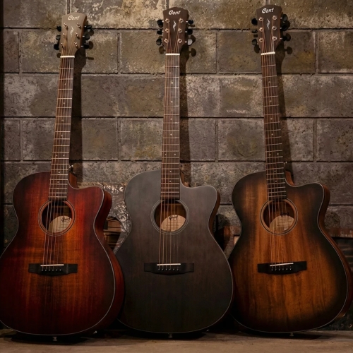 Гітари Cort для початківців: які моделі варто вибрати на старті