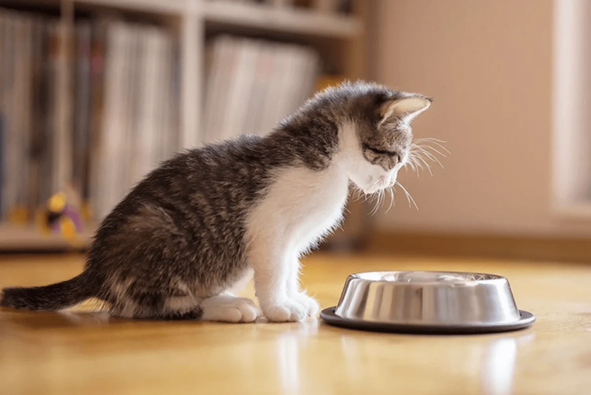 Какие проблемы могут вызвать неподходящие ингредиенты