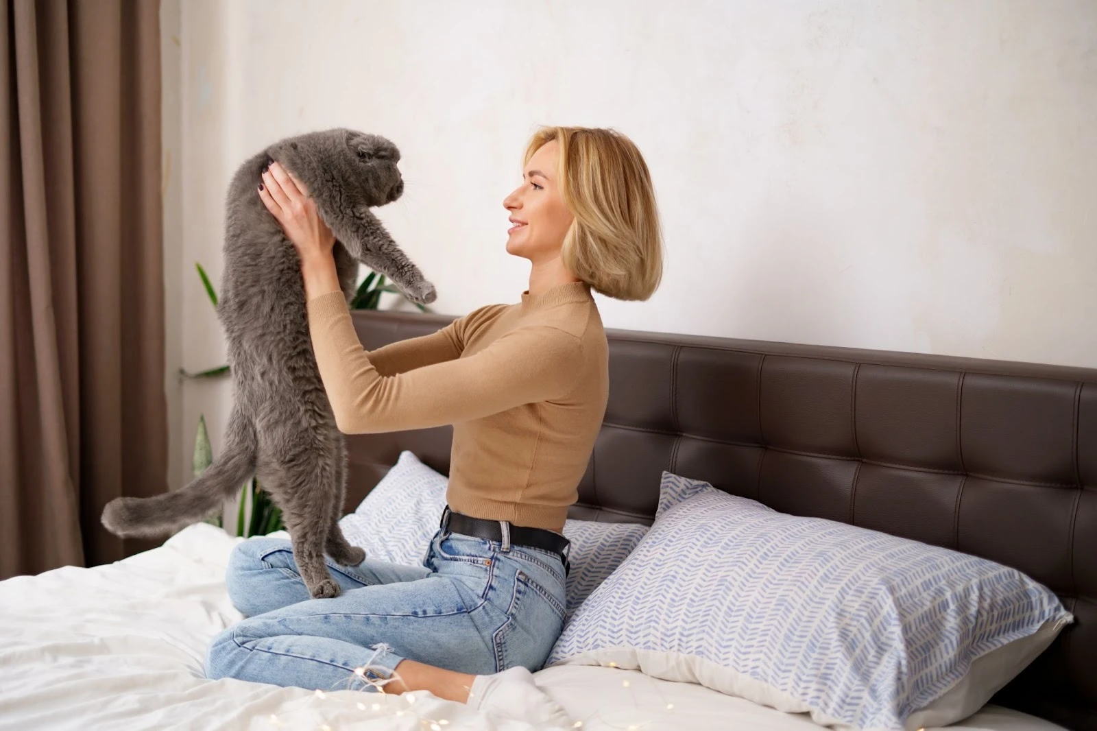 Практичні лайфхаки для орендарів з тваринами