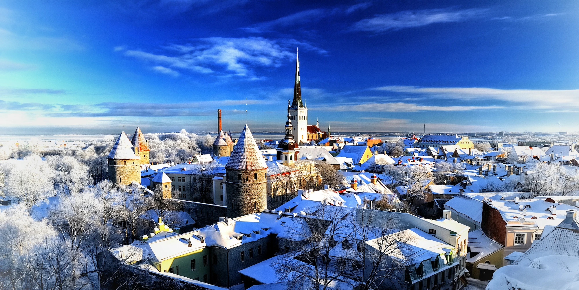 Особливості сплати податку на прибуток в Естонії